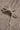 Brand Turbo brand-a21b6053-51d9-4fe0-989b-441f15c4751c image 2/4