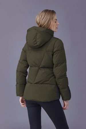 126429Olive