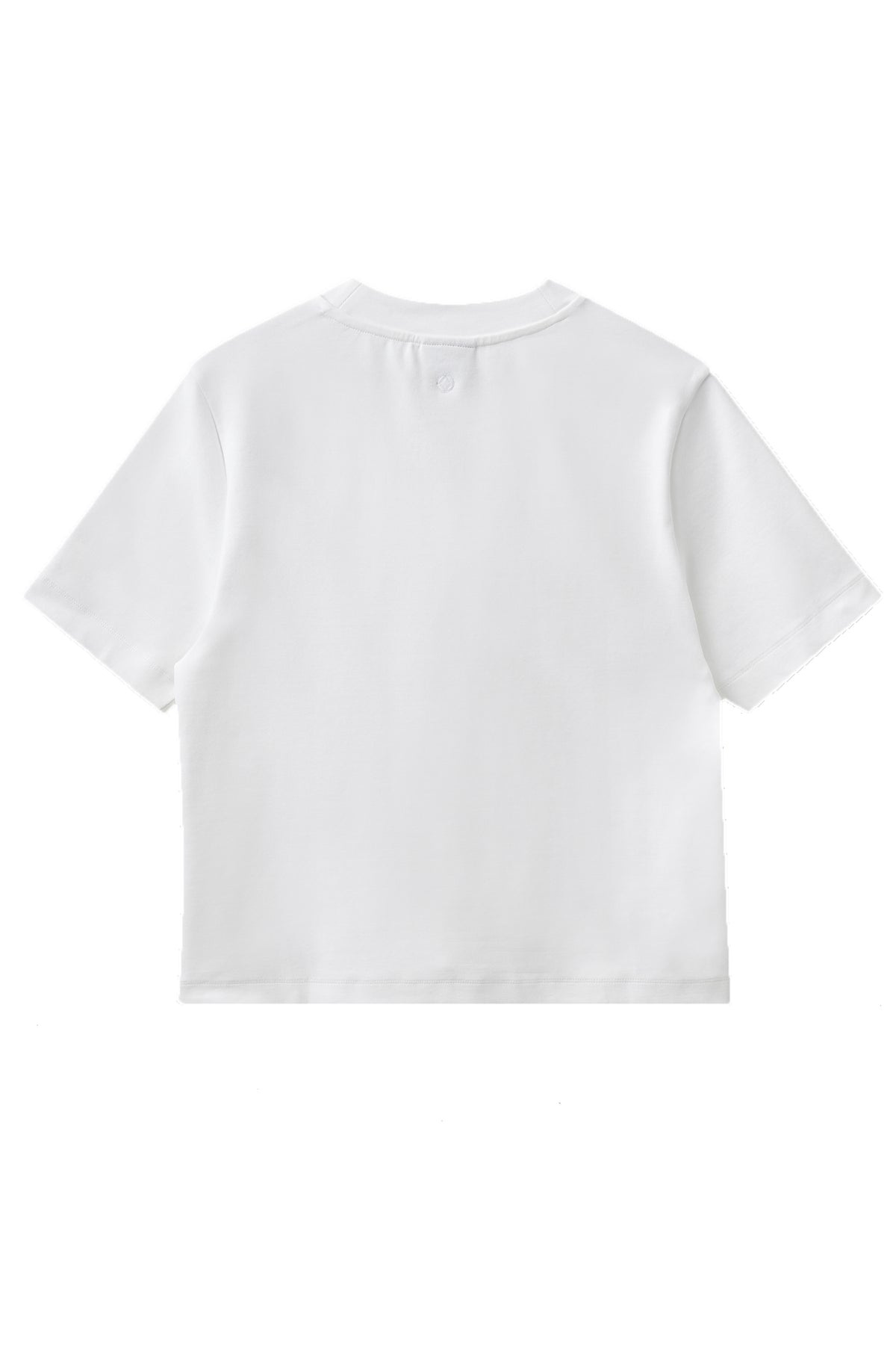 MMHTrust Stable White - 800012