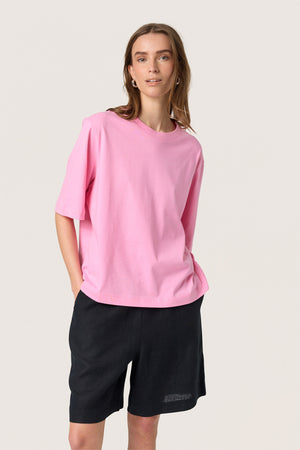 164892Roseb
