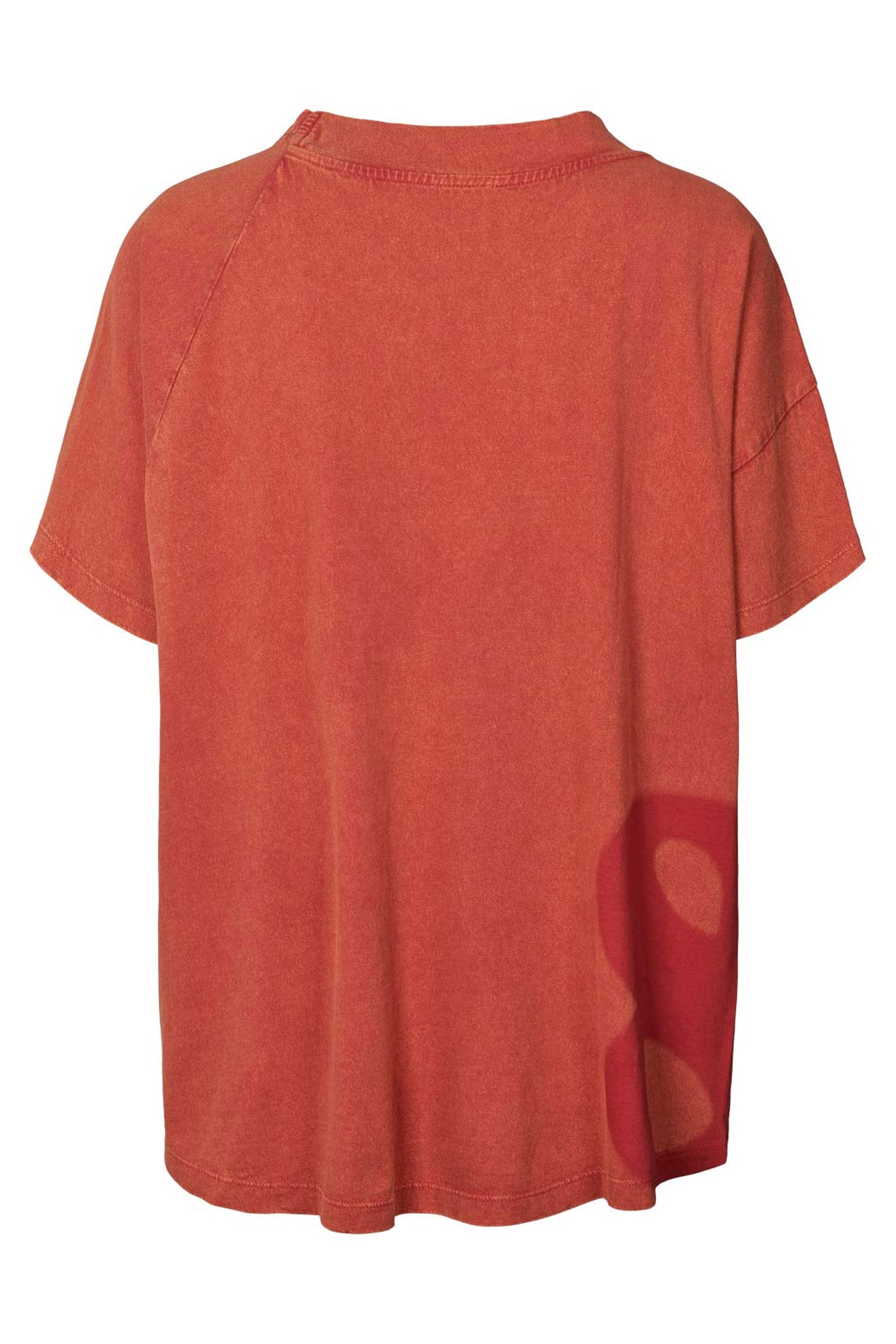 Ary hibiscus