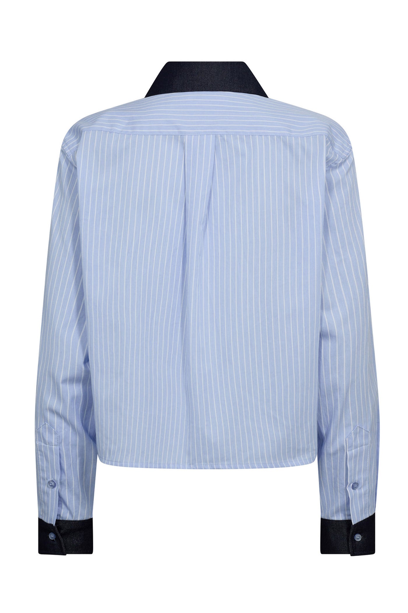 NelsonCC Stripe Shirt 23-Pale Blue - 35936