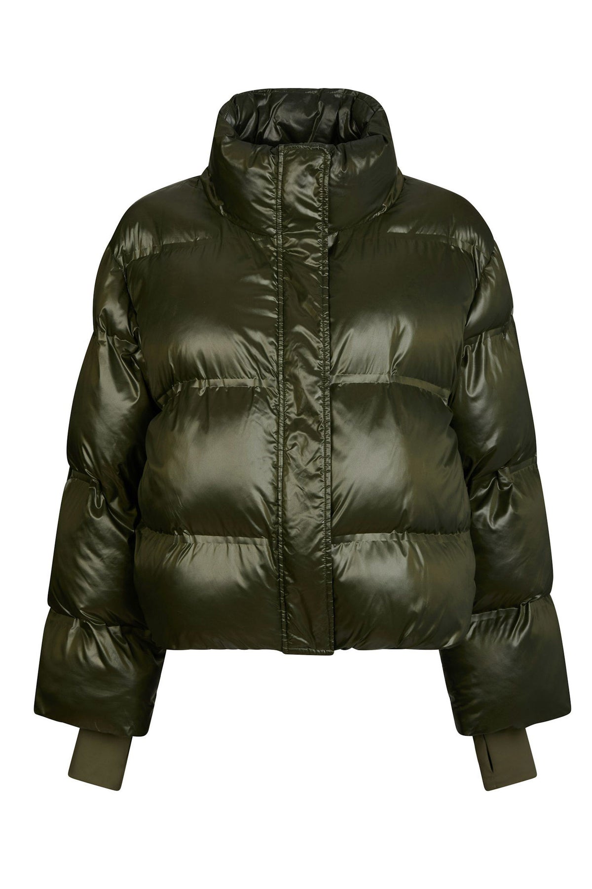 165094 Rhea Olive - 165094
