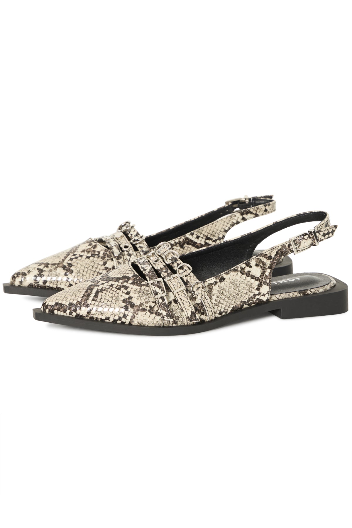 IAMMA FW Birch - 130905 - 20125337
