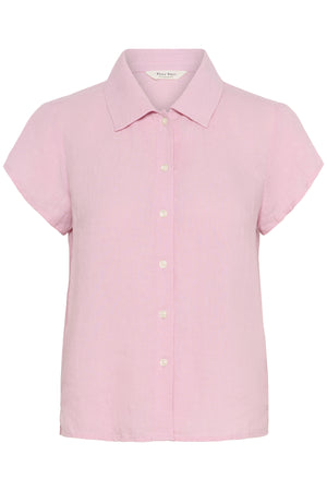 RittePW SH Pink Nectar