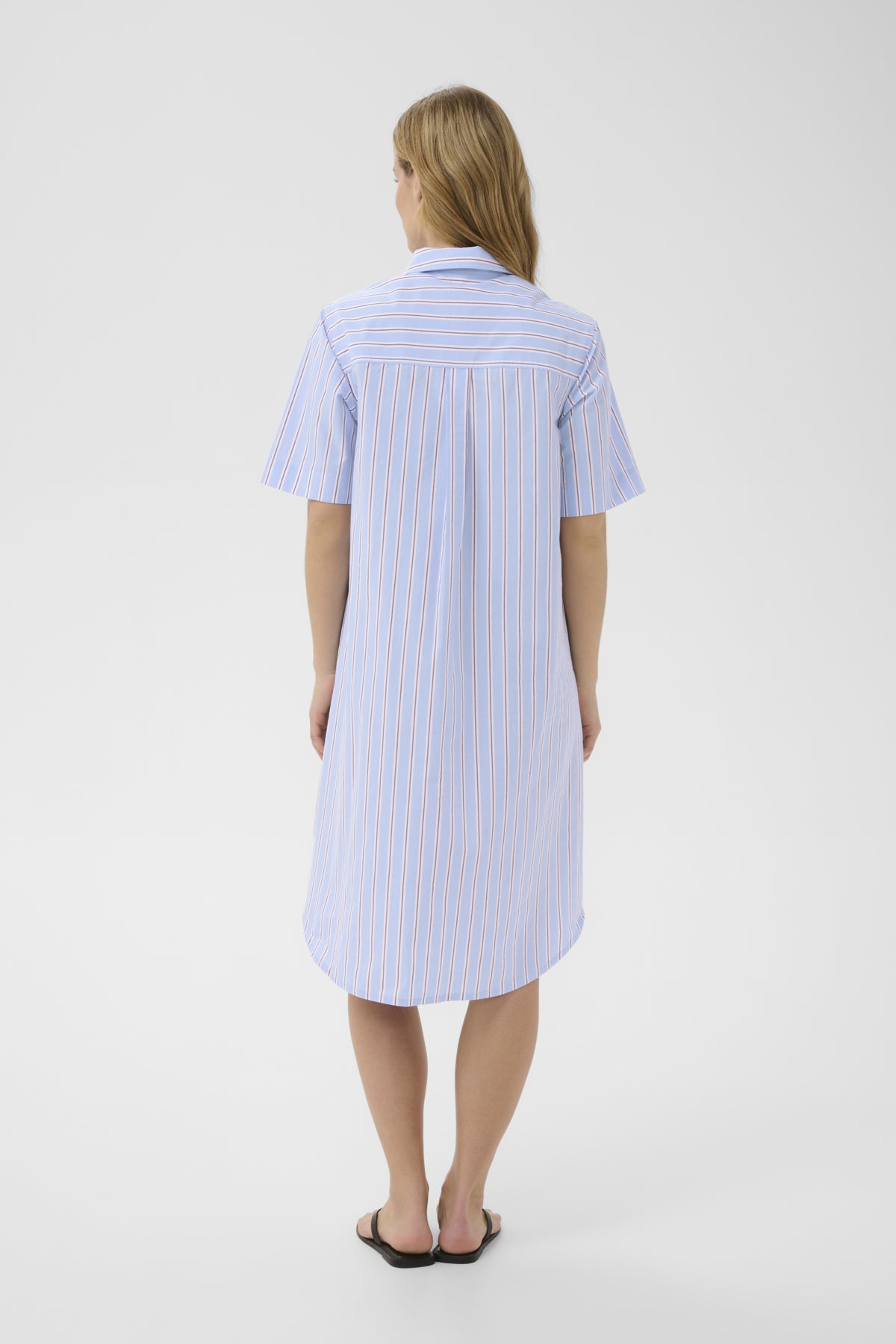 HarperPW DR Blue Burnt Russet Stripe - 305 - 30309921