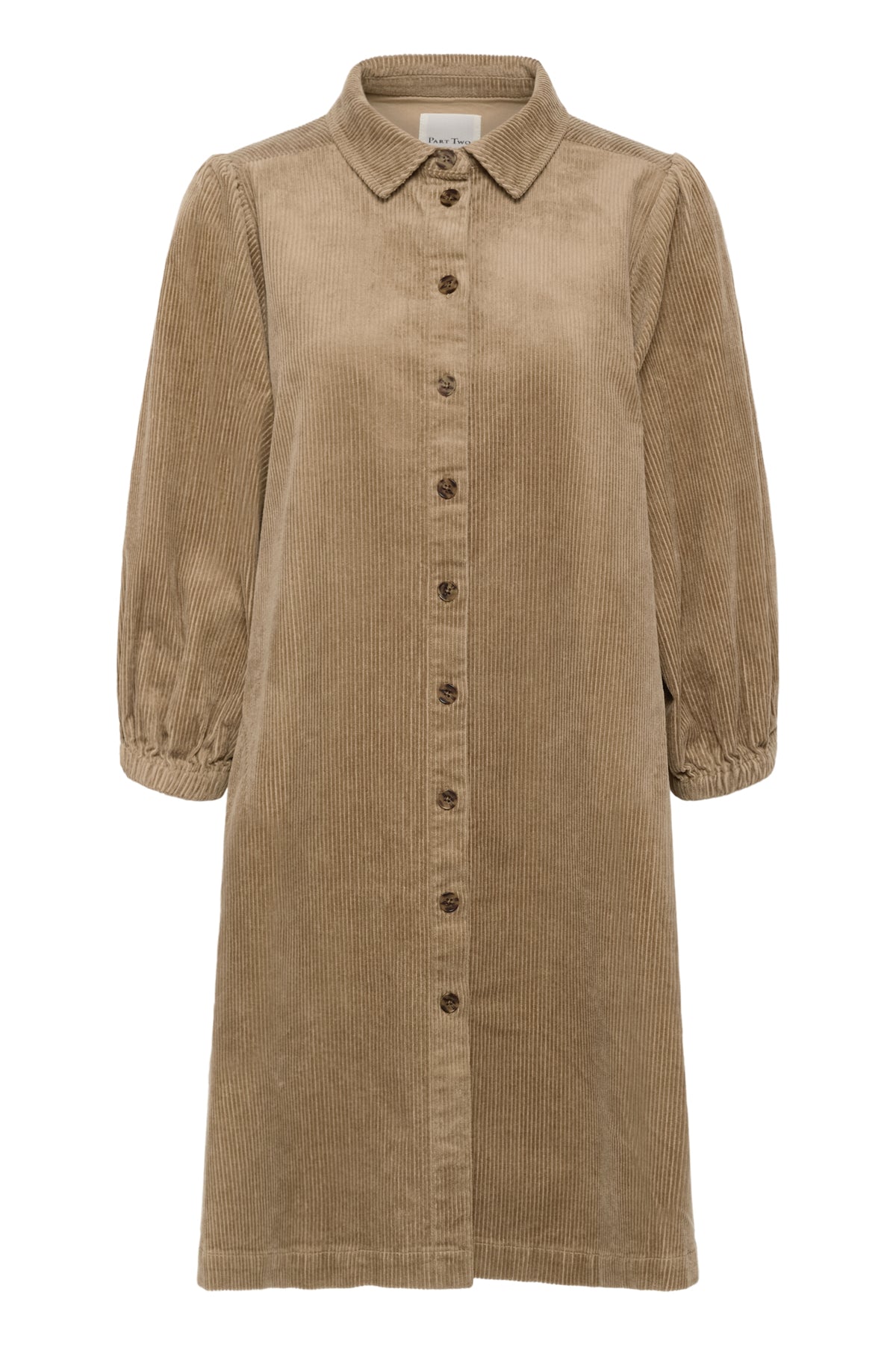 EleinaPW DR 30310323 Tigers Eye