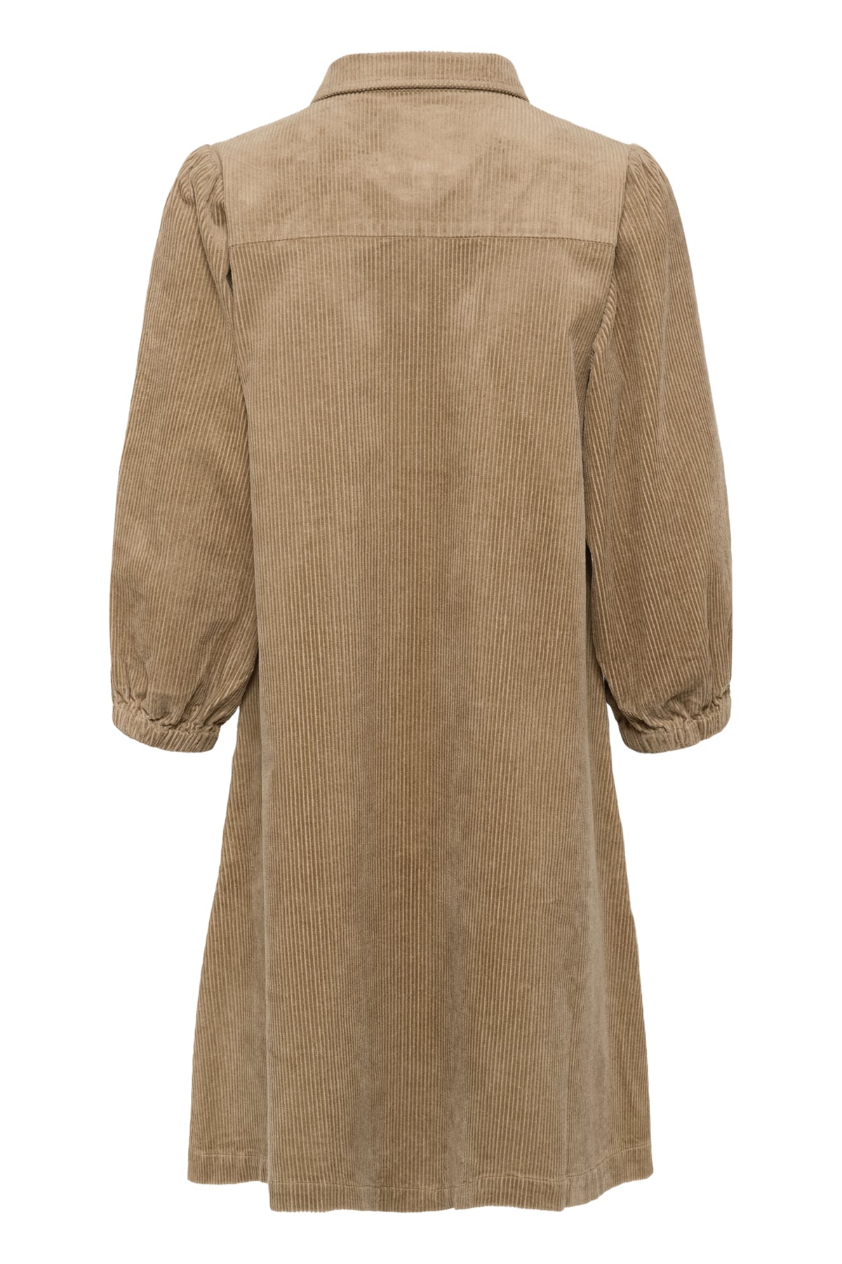 EleinaPW DR 30310323 Tigers Eye