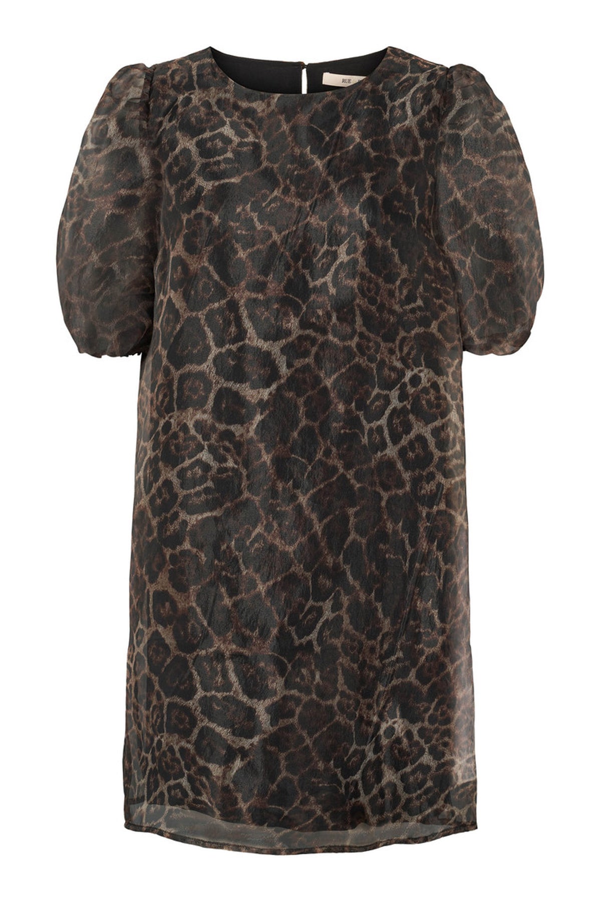 7603RDFTindra dress 197 Brown sugar - RDF446