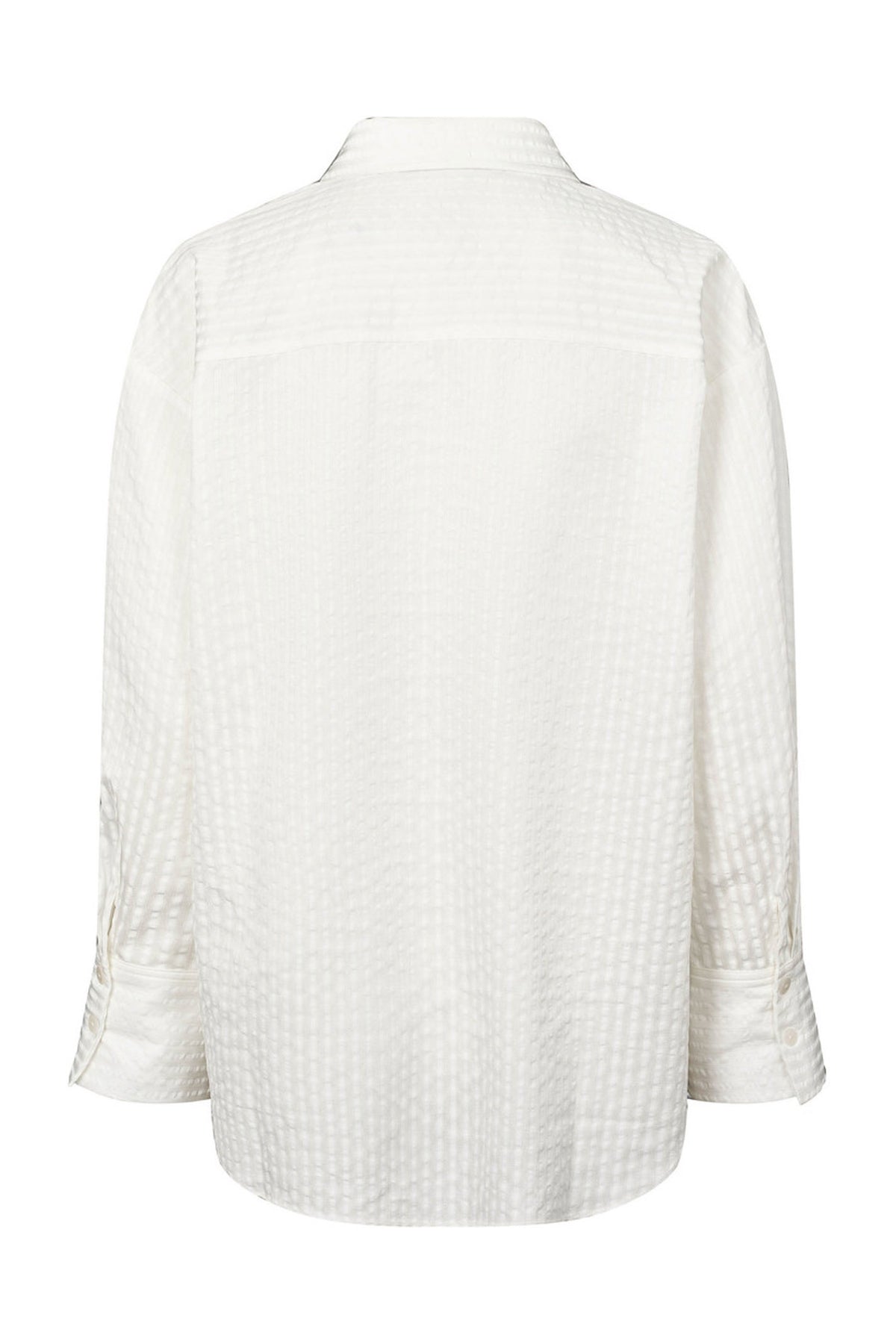 7666RDFEileen shirt 01 White - RDF597