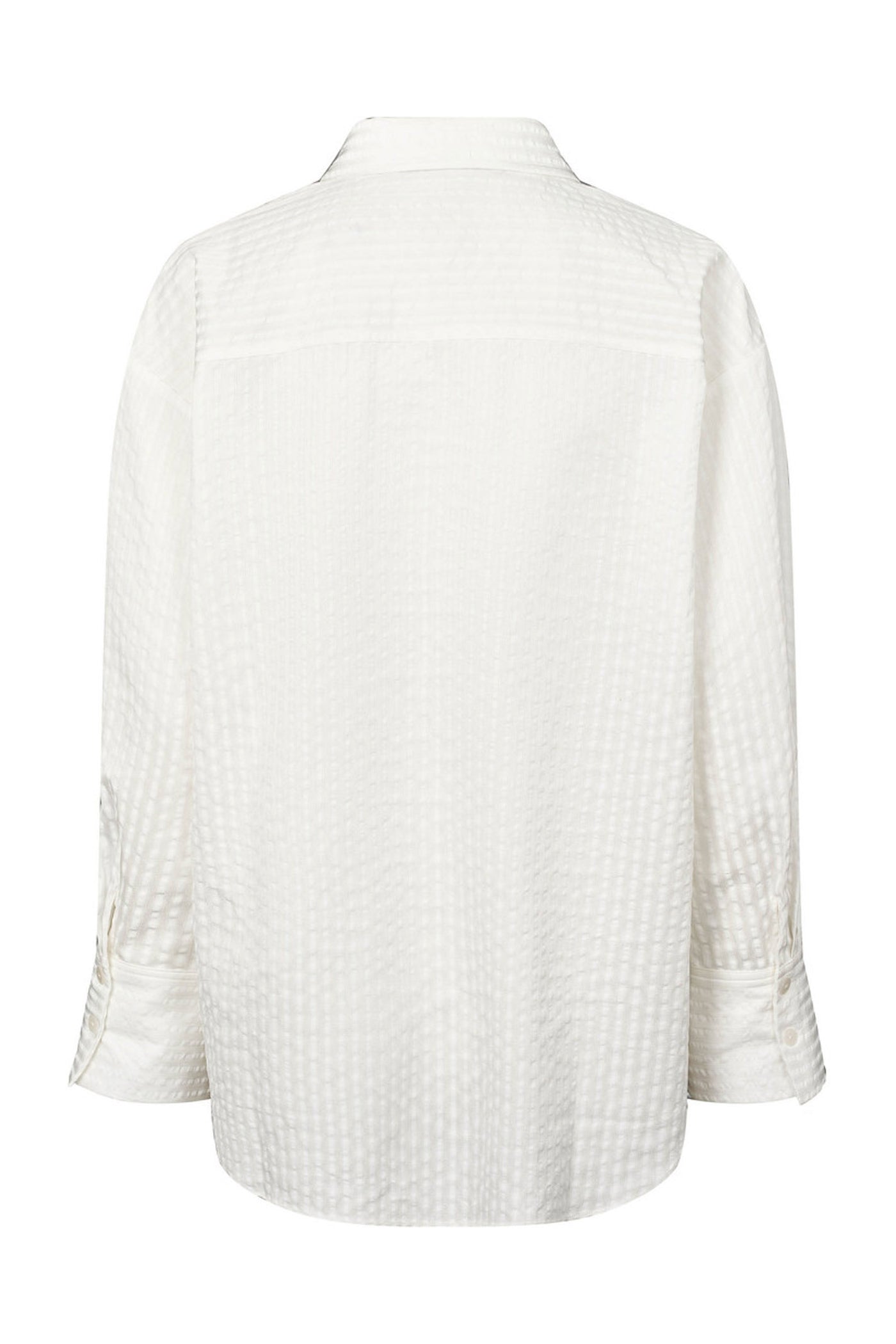 7666RDFEileen shirt 01 White - RDF597