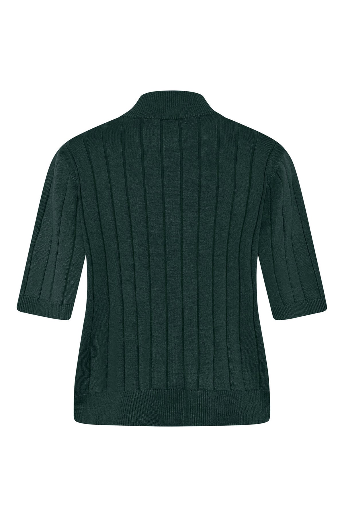 AnemoneBBGlady knit Forest