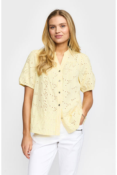 Cani Yellow - 10214411558 Thumbnail