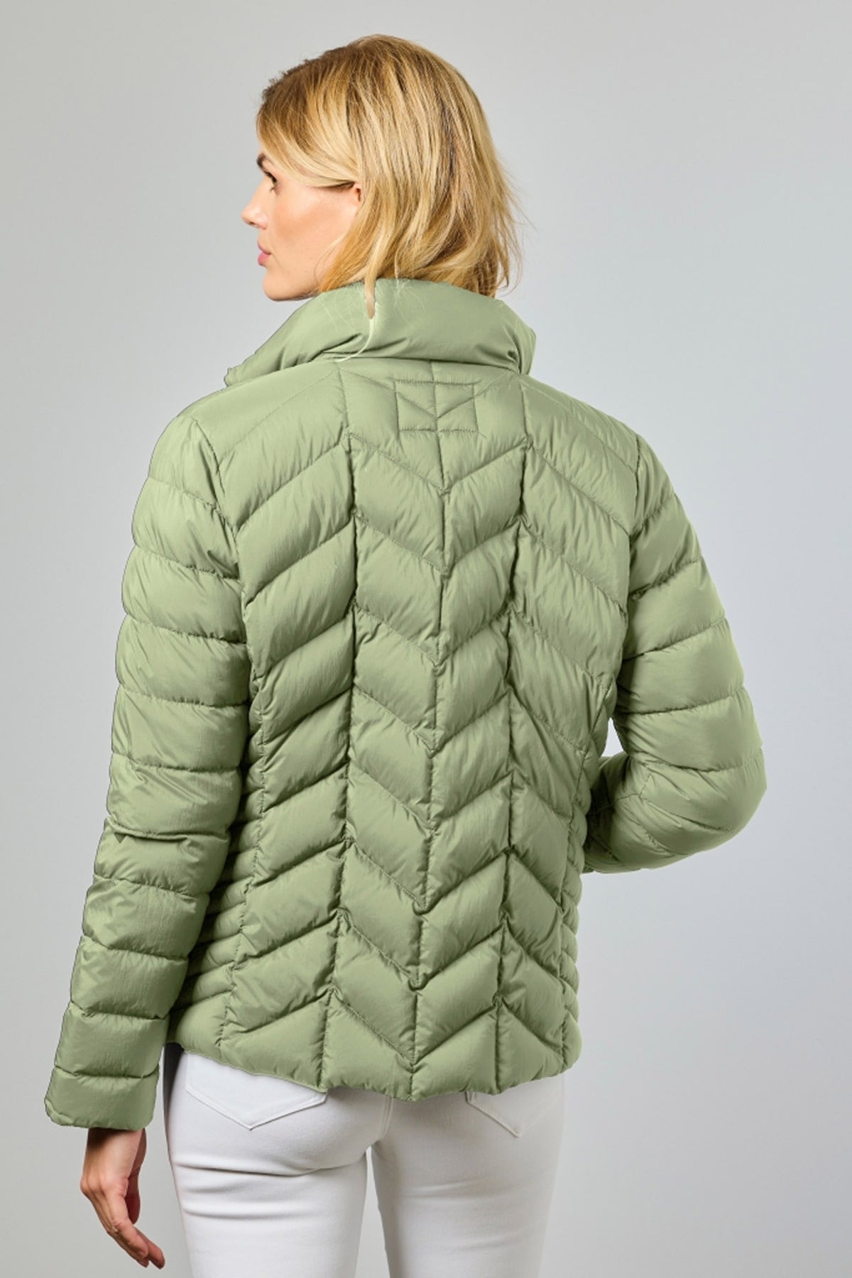 Daisy 41-Cactus - 0126-2040-60