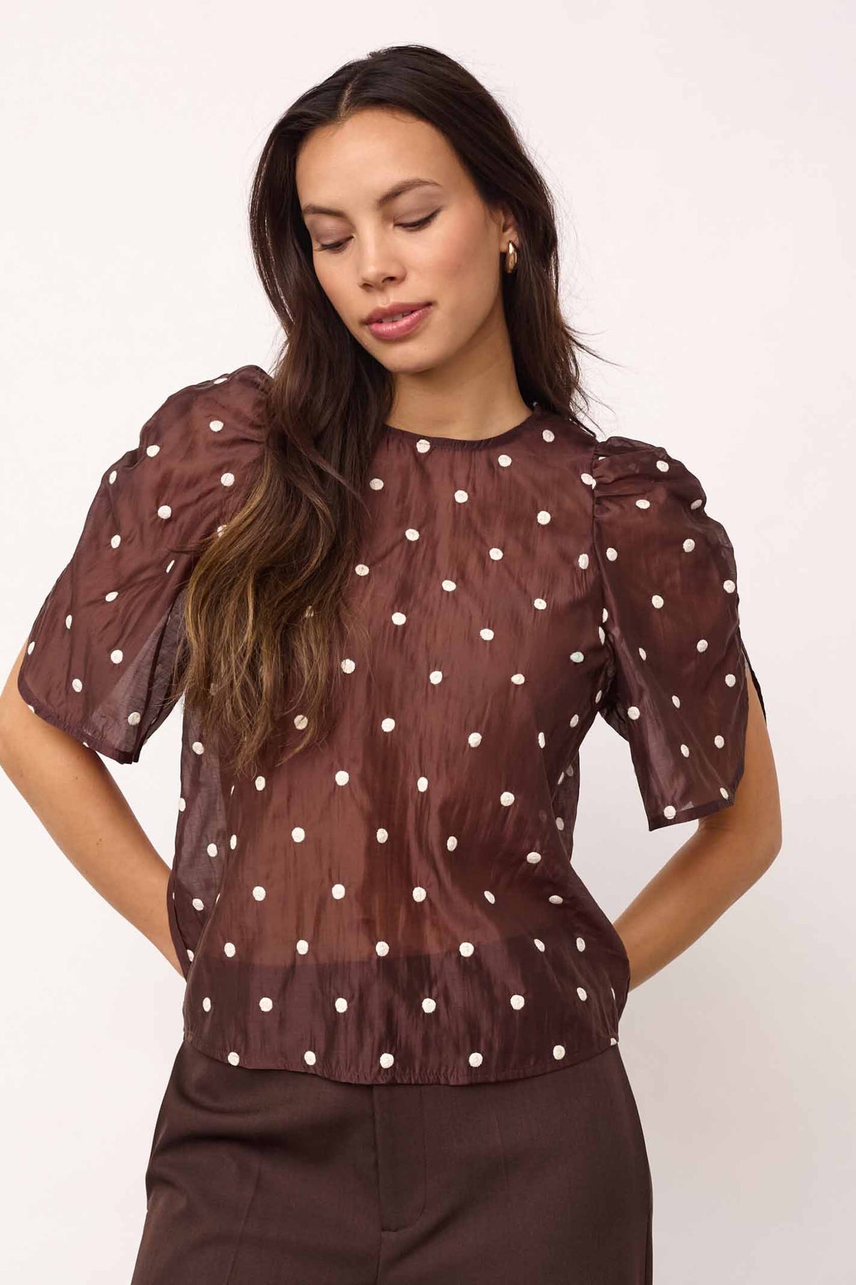 DitaCC Dot SS Blouse 20003-Dark Brown - 500043