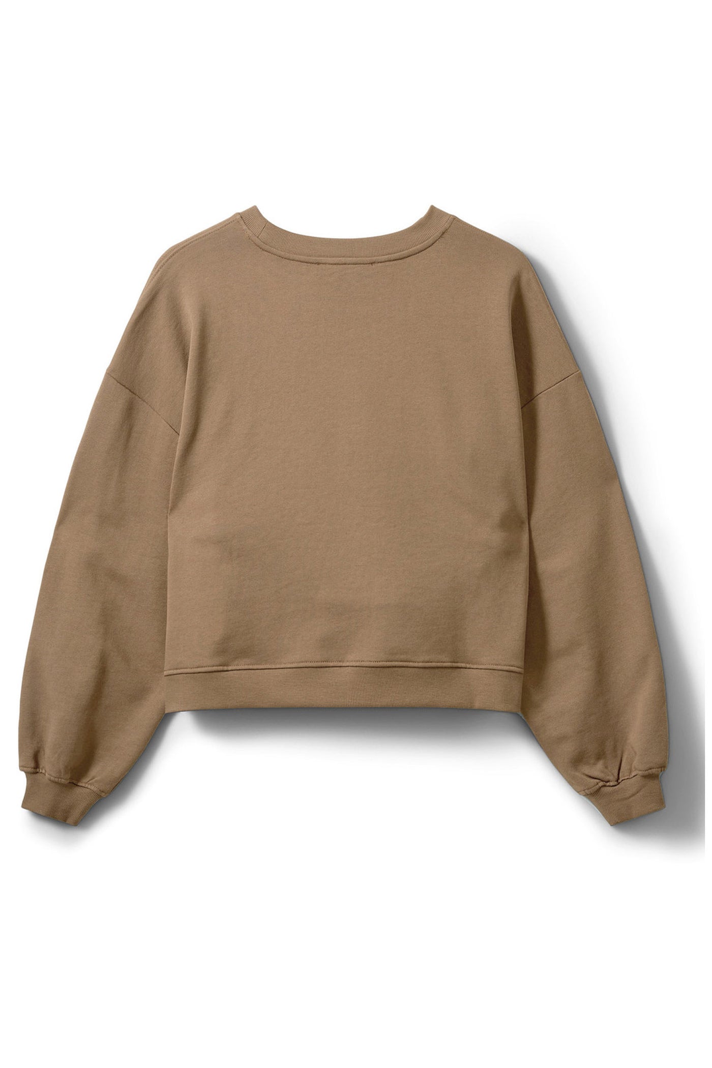 ELINSW SWEATSHIRT 7083 Camel - S261500
