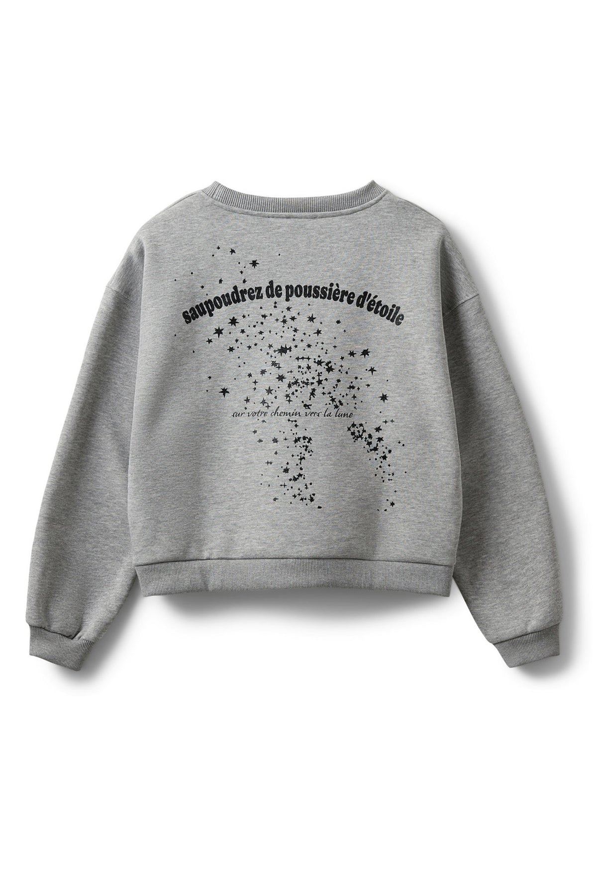 ELINSW SWEATSHIRT 8010 Grey melange - S254435