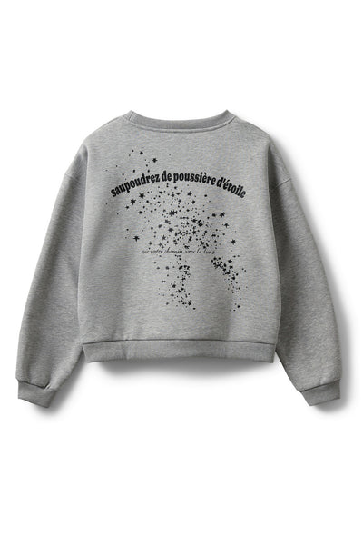 ELINSW SWEATSHIRT 8010 Grey melange - S254435 Thumbnail
