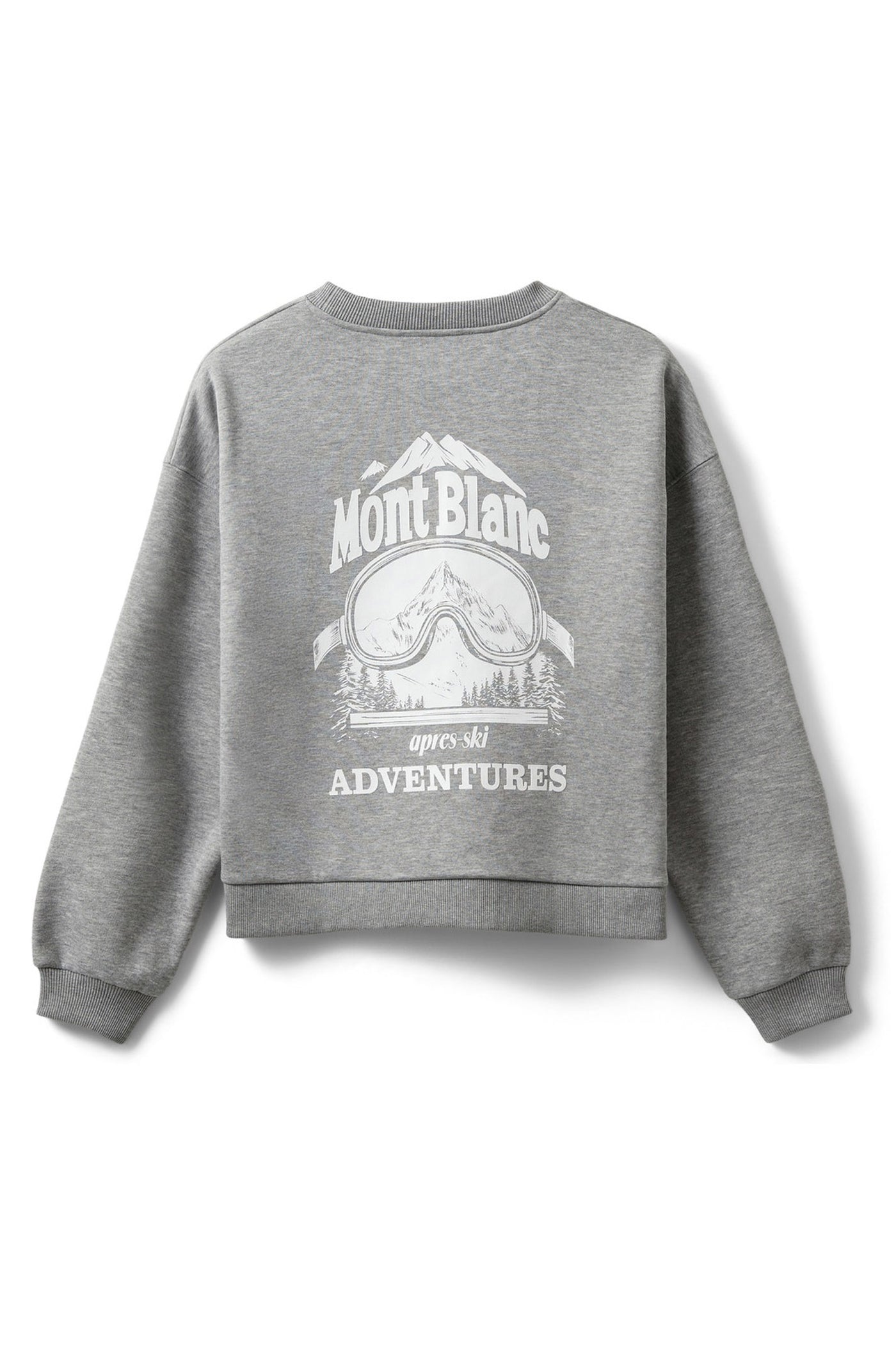 ELINSW SWEATSHIRT 8010 Grey melange - S254440