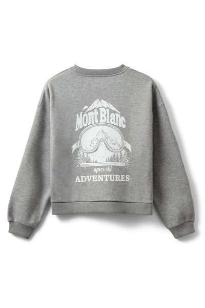 ELINSW SWEATSHIRT 8010 Grey melange - S254440 Thumbnail