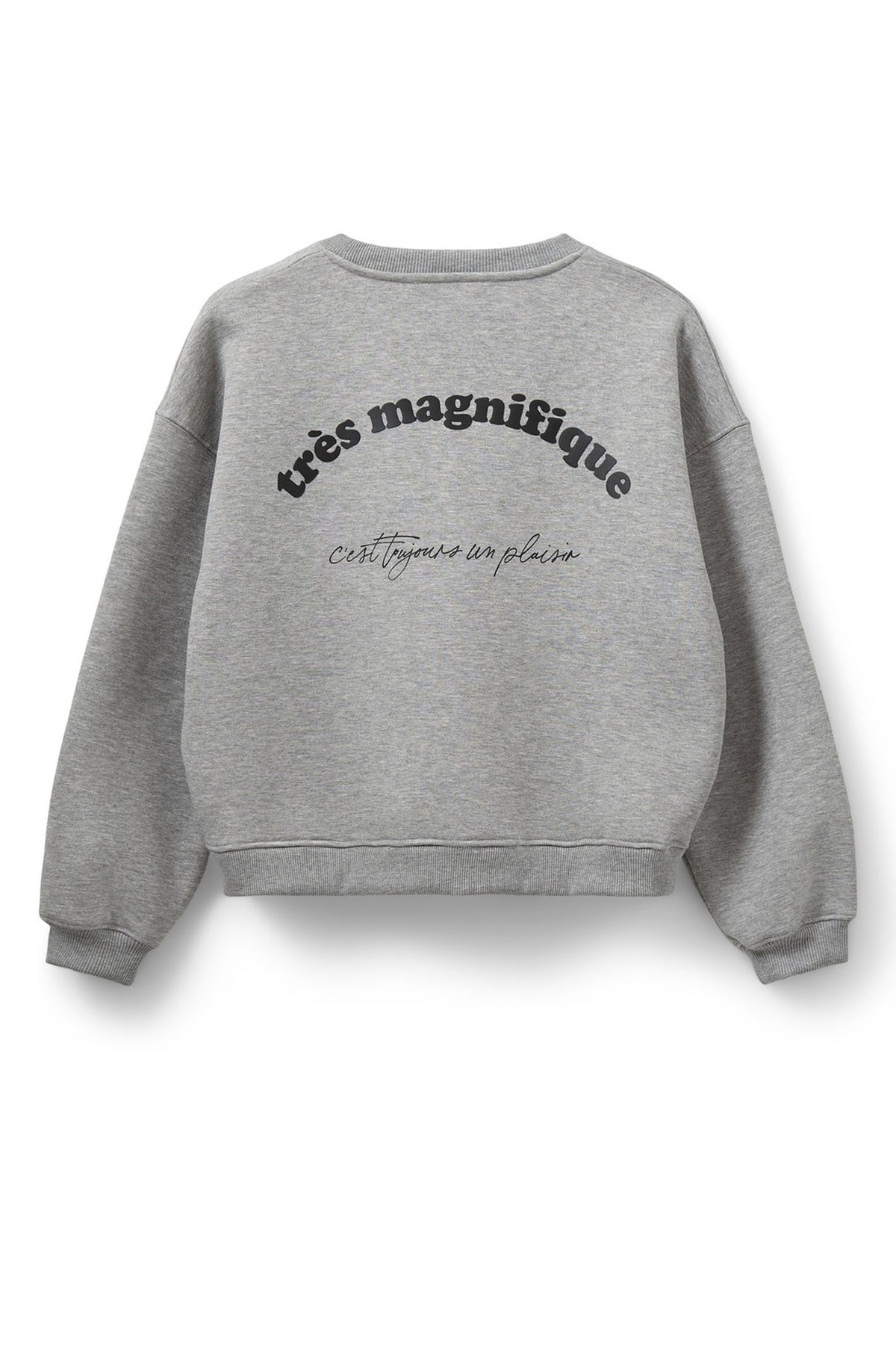 ELISW SWEATSHIRT 8010 Grey melange - S253465