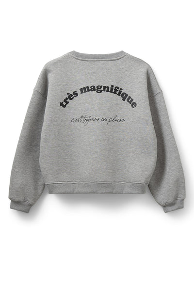 ELISW SWEATSHIRT 8010 Grey melange - S253465 Thumbnail