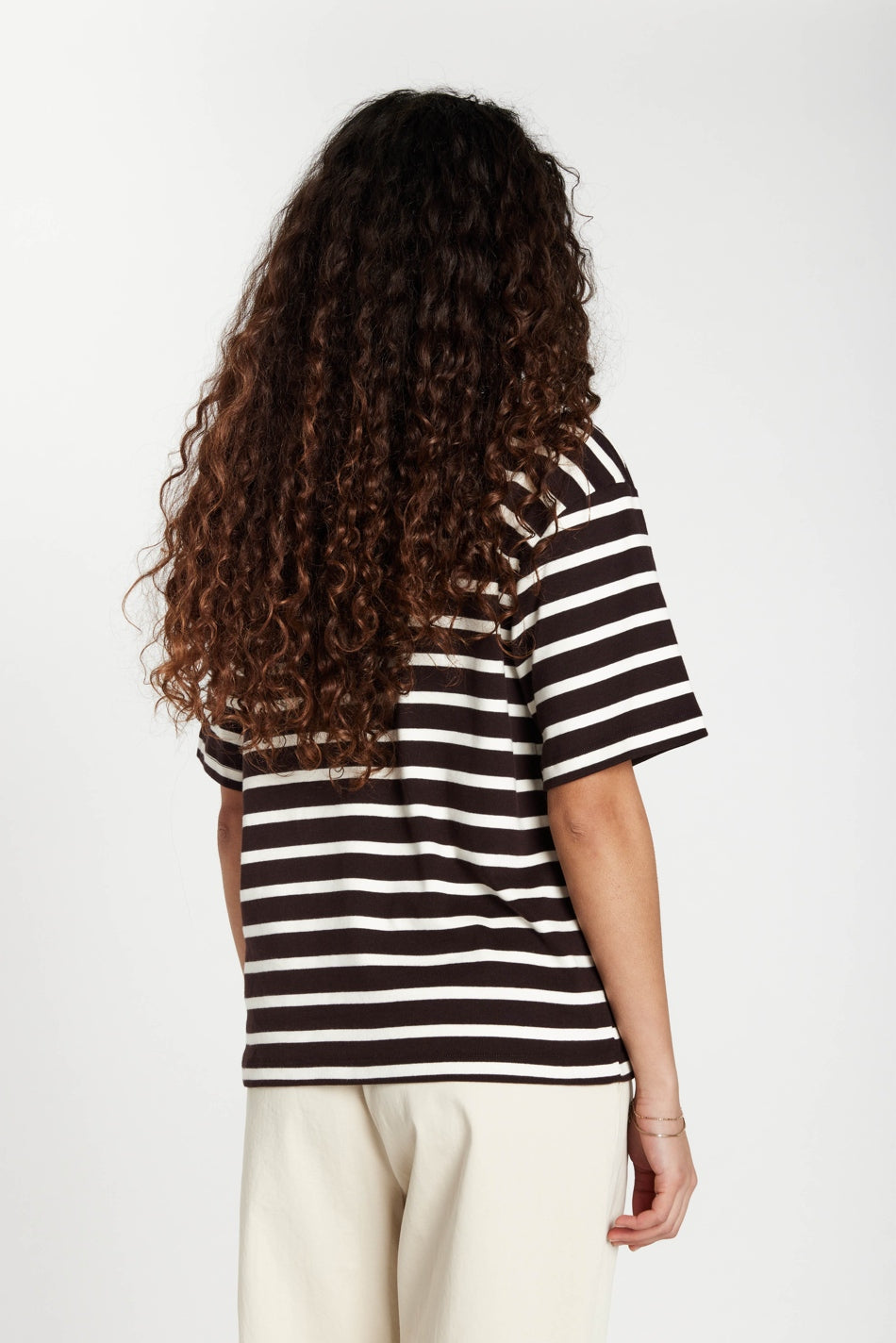 IguanuraBBBasic tee BROWN STRIPE - BBW5058
