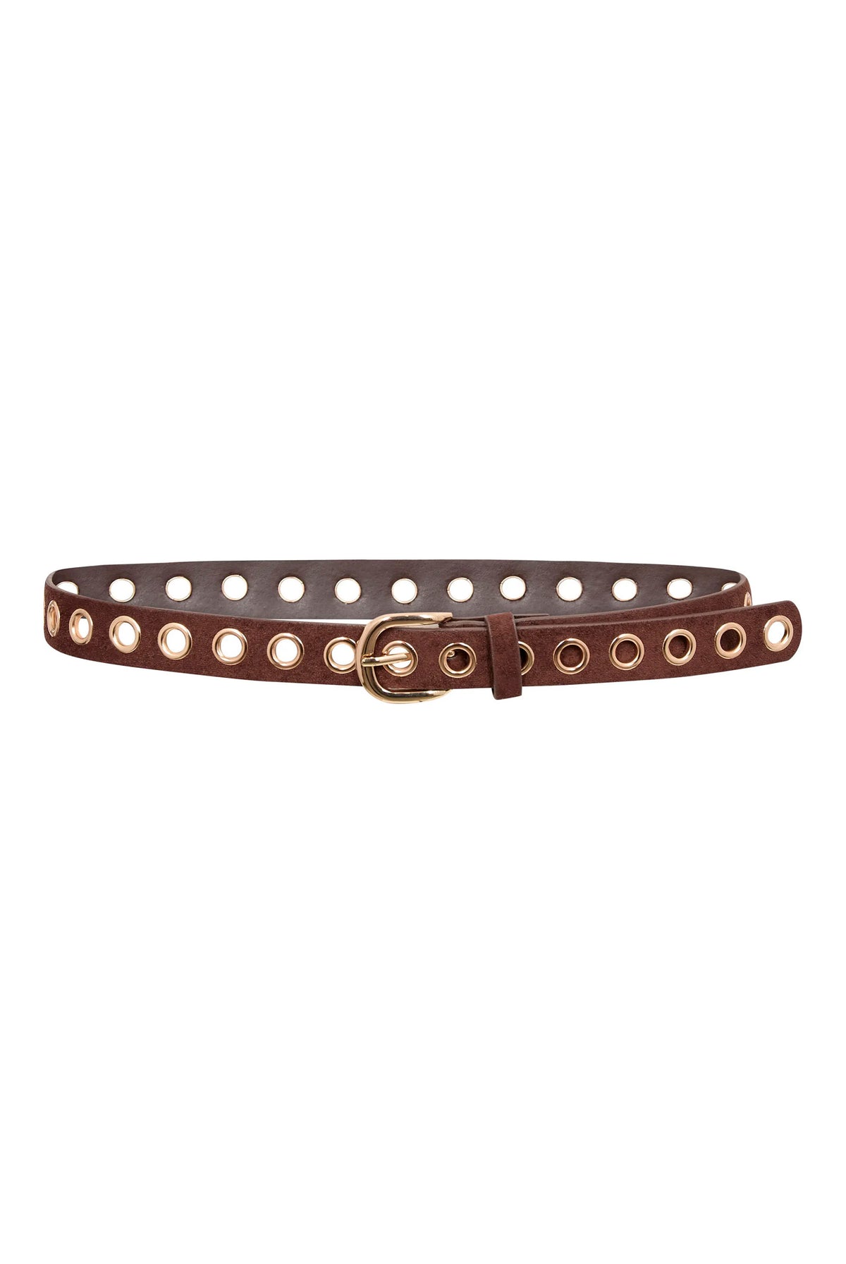 SennaCC Eyelet Belt 20003-Dark Brown - 500048