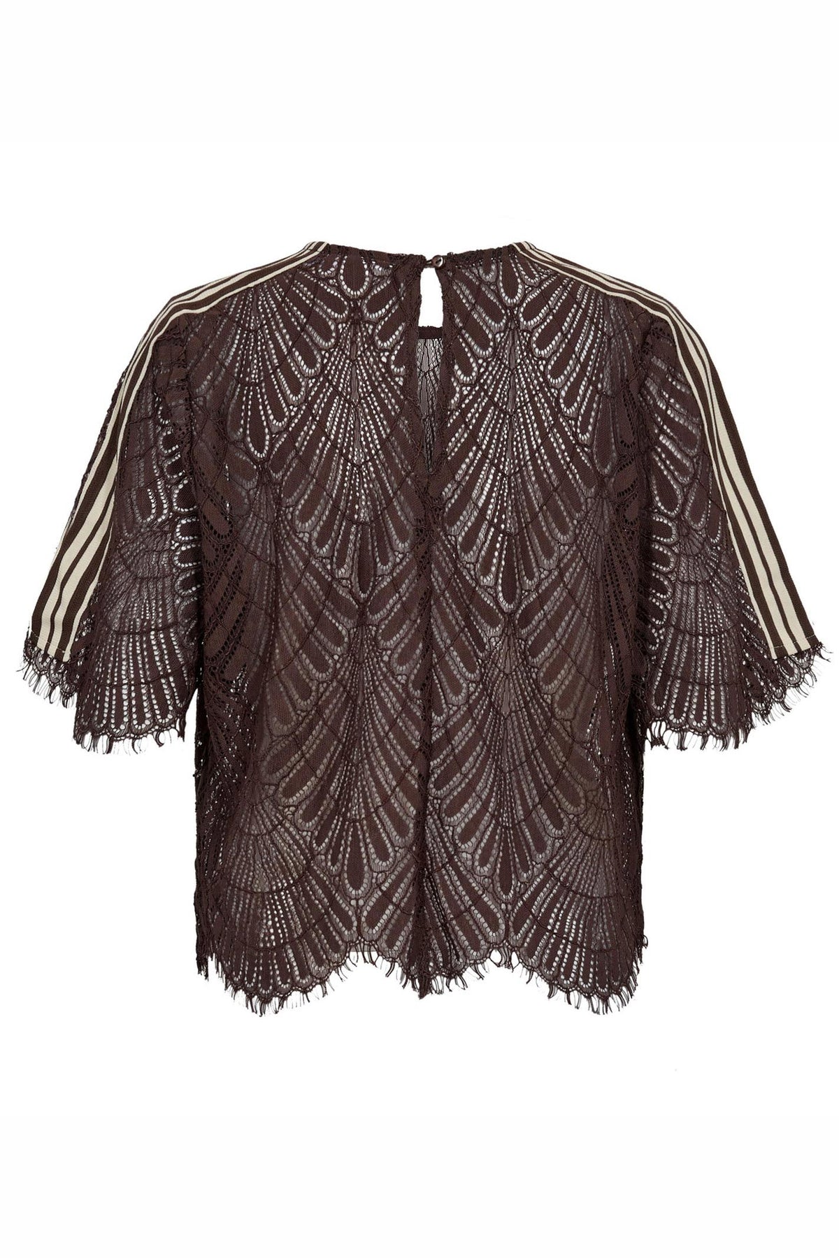 LetiCC Lace Blouse 145-Dark Brown - 45049