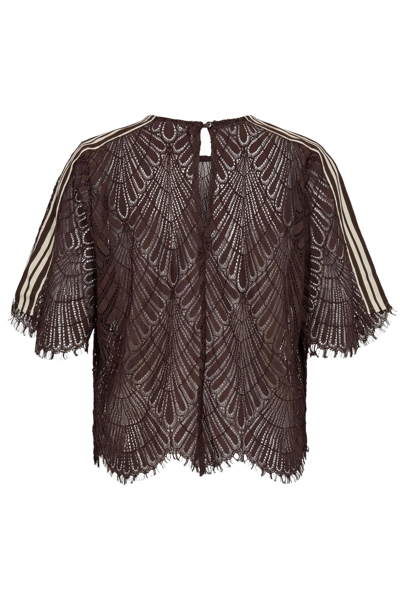 LetiCC Lace Blouse 145-Dark Brown - 45049