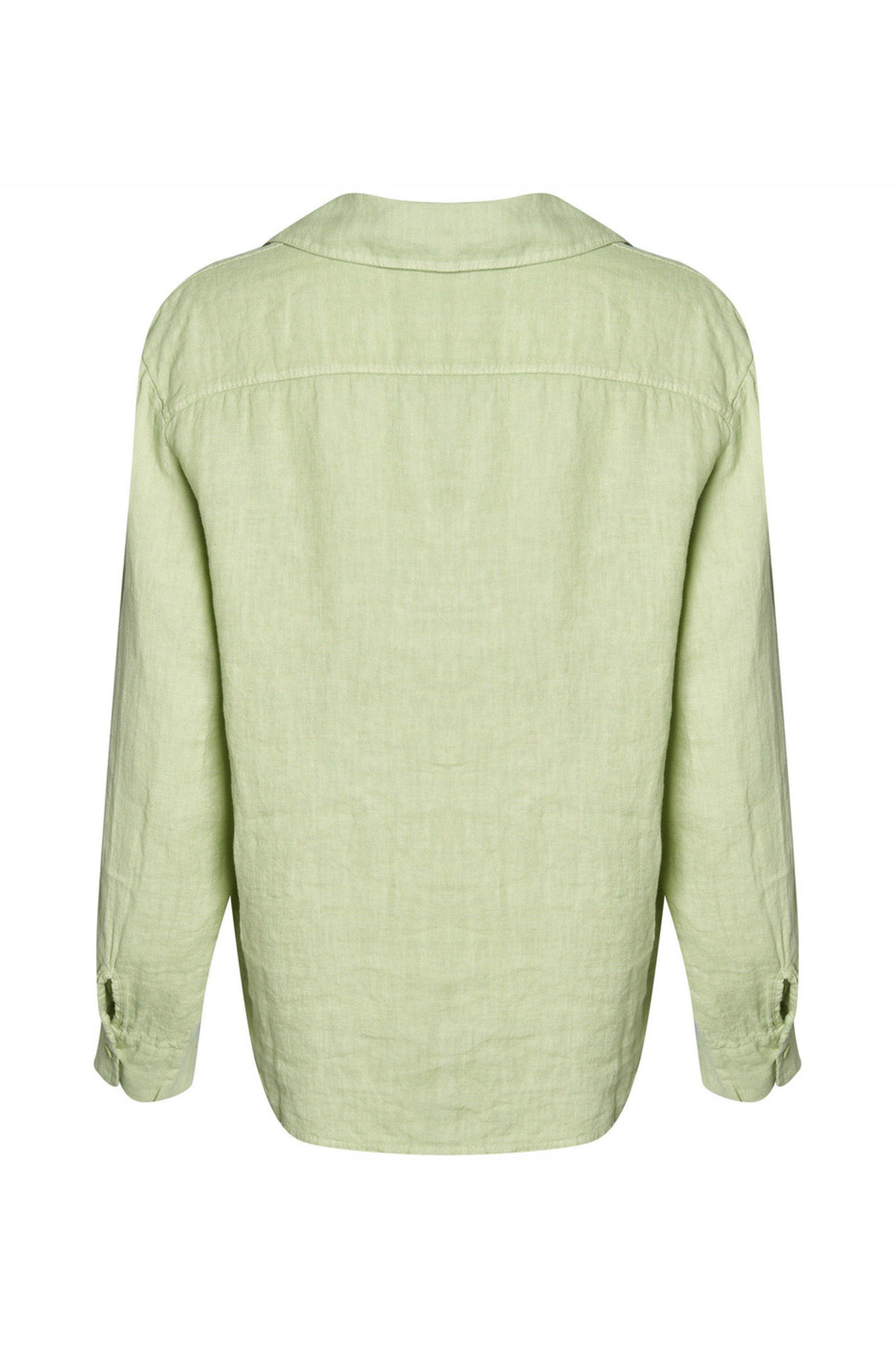 LiUni 5049 Salvia - L1029.2963