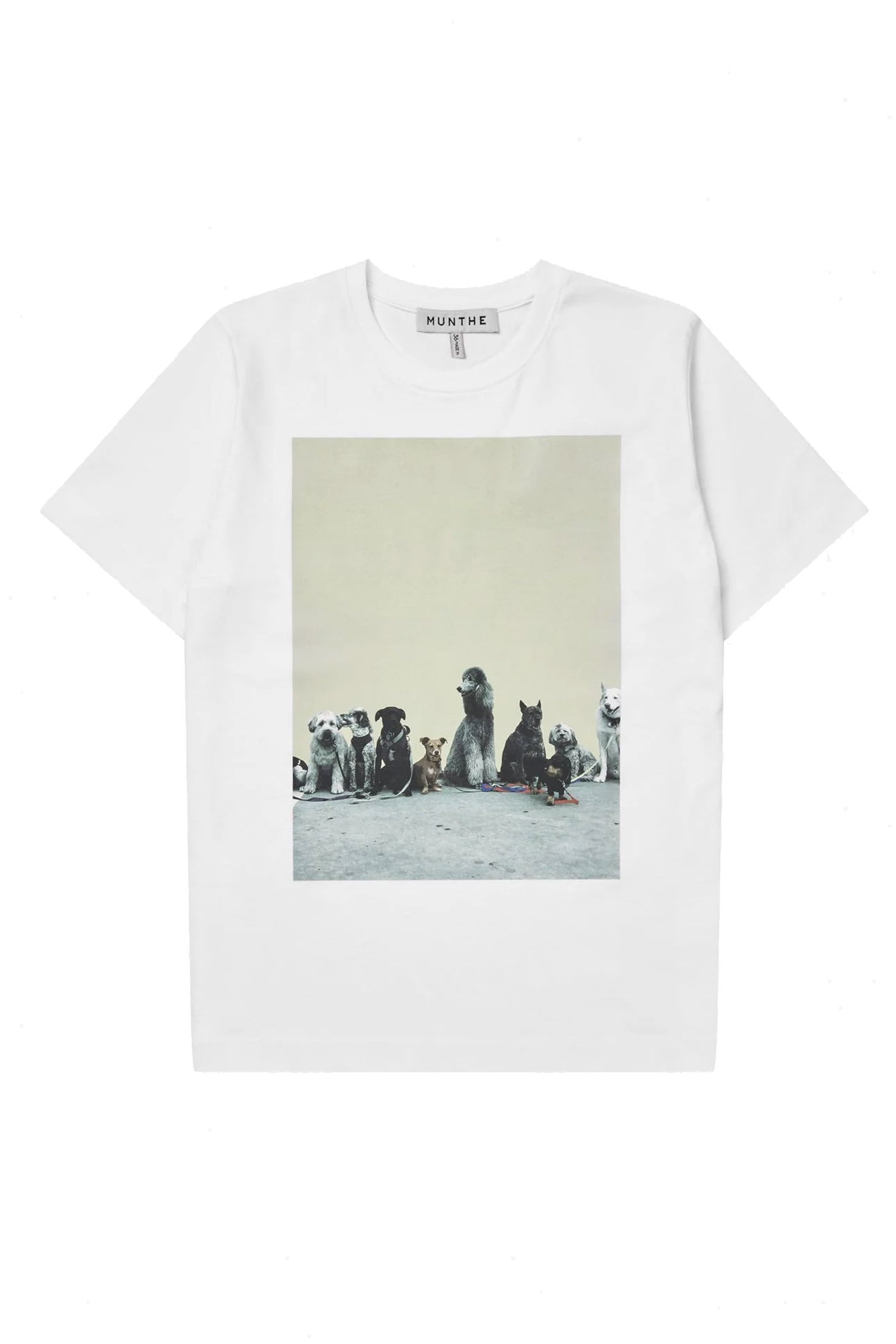 NYLA 33-White - 1109/26260