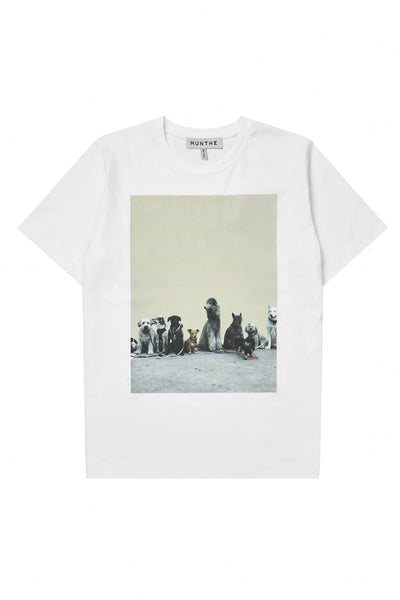 NYLA 33-White - 1109/26260 Thumbnail
