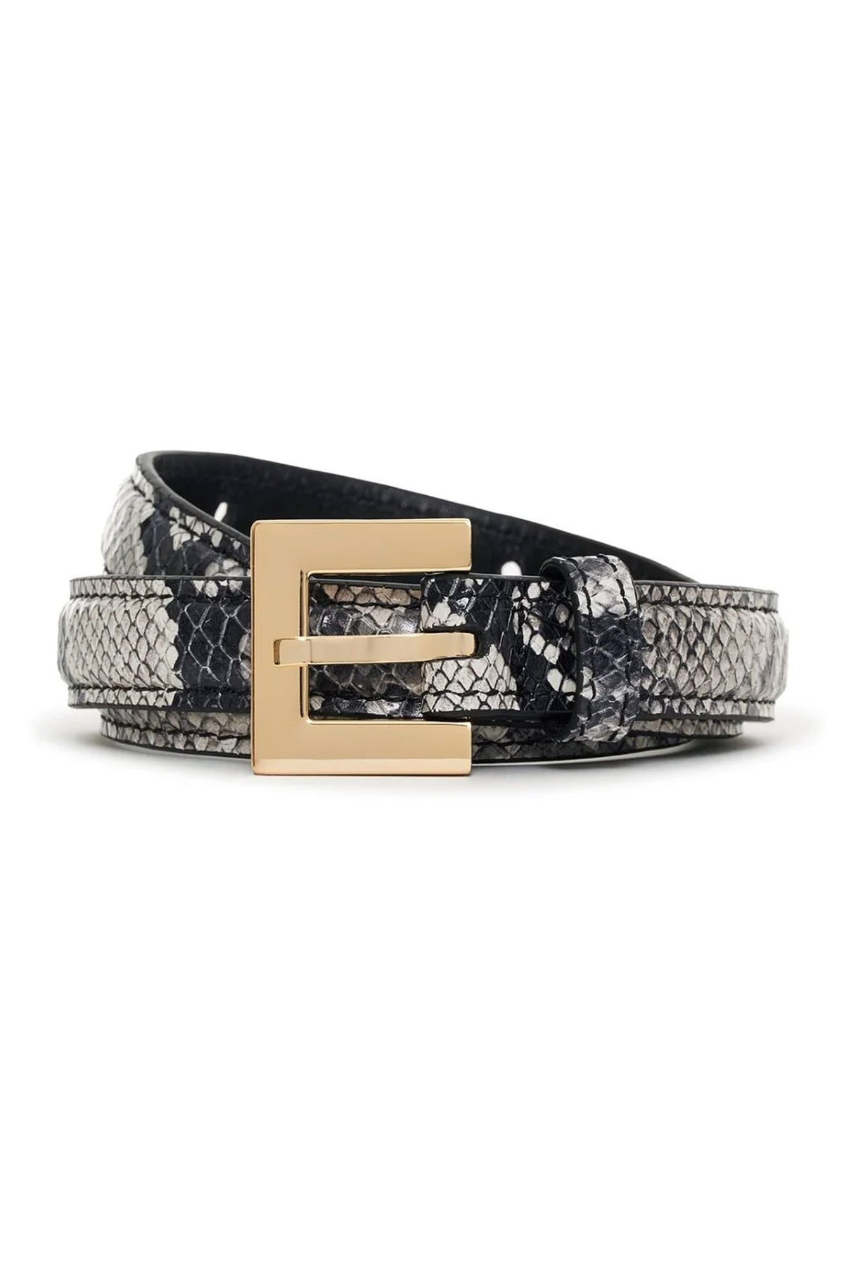 Nicola Black Snake - A-12-11081