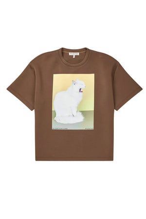 RAPLOI 4-Brown - 1125/25463