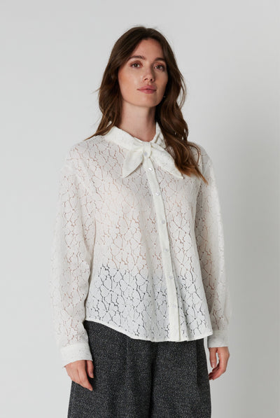 Brand Turbo brand-5e9262a6-0c4a-4dfb-b7d2-b4b7bd09f6a8 image 6/11 Thumbnail