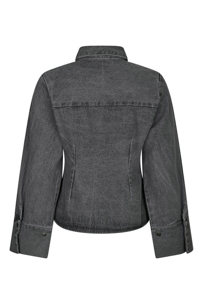 Rosa D Grey - 166842 Thumbnail