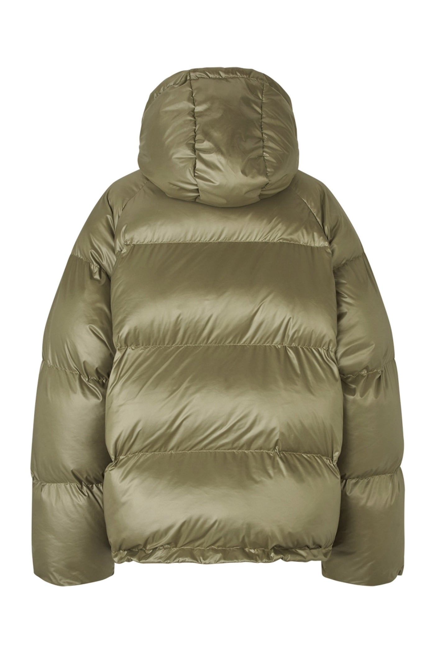 ShelbyLL Jacket 49 Dusty Green - 25489-7010