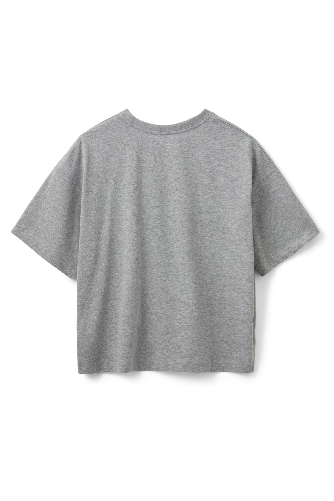 VERASW T-SHIRT 8010 Grey melange - SNOS553
