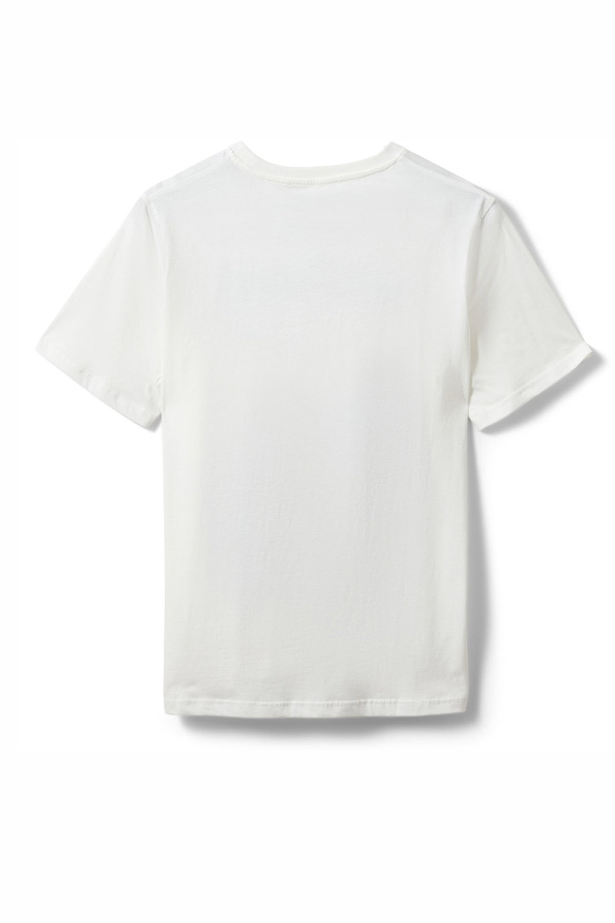 ZENASW PRINTED T-SHIRT 0124 Snow white - S261445
