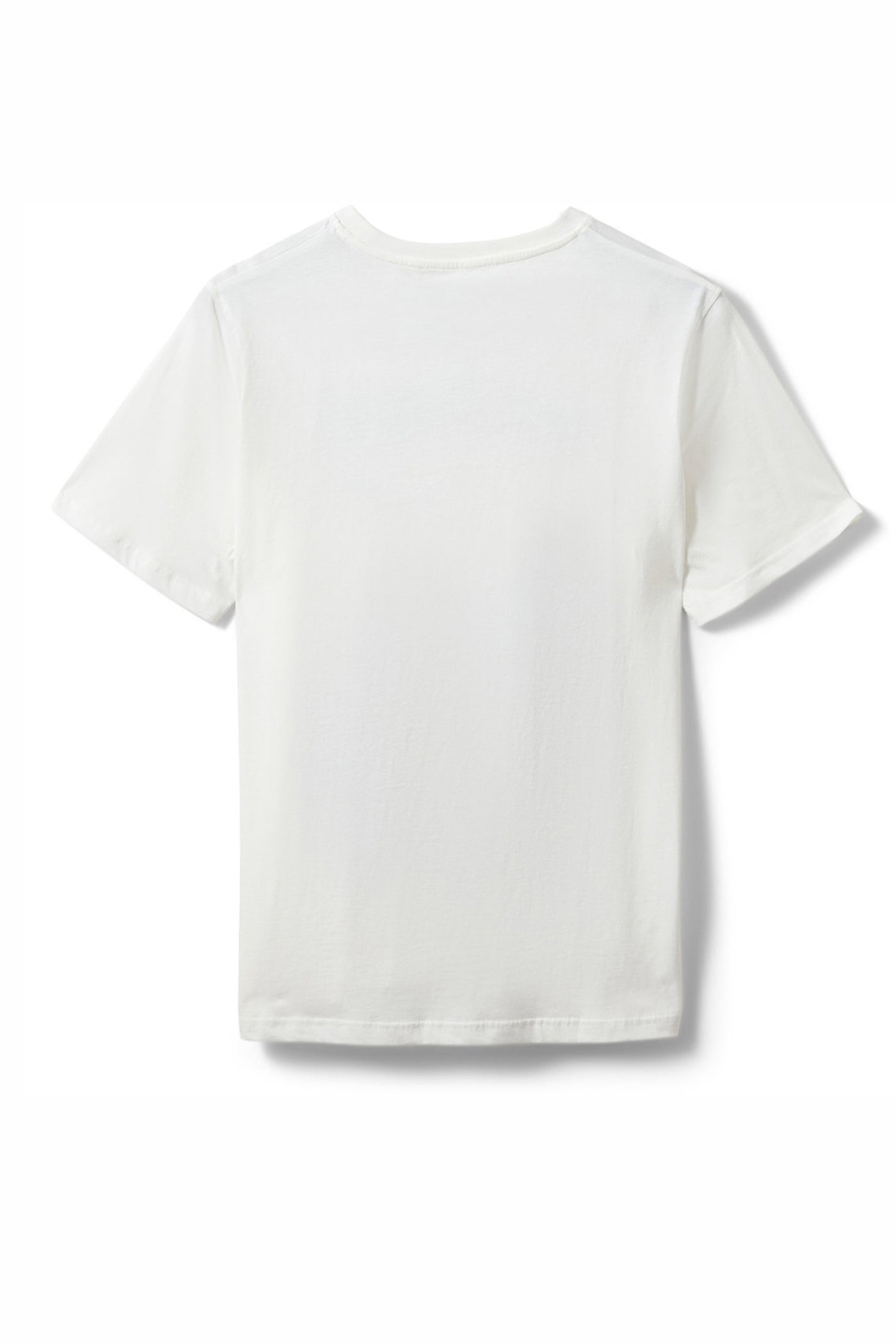 ZENASW PRINTED T-SHIRT 0124 Snow white - S261445