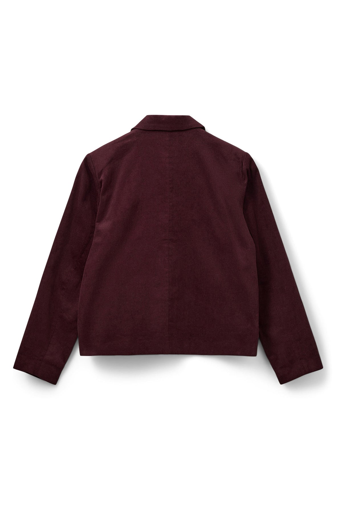 ZURISW JACKET 4162 Plum - S253350